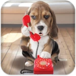 Logo of Puppy Call android Application 